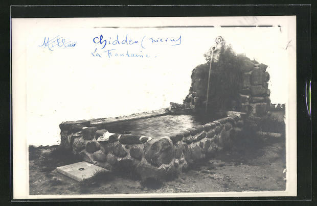 159401244 143669170964246 1225699585439951099 n.jpg