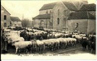 Rouy3.jpg