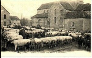 Rouy3.jpg
