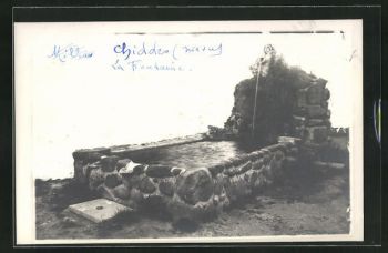 159401244 143669170964246 1225699585439951099 n.jpg