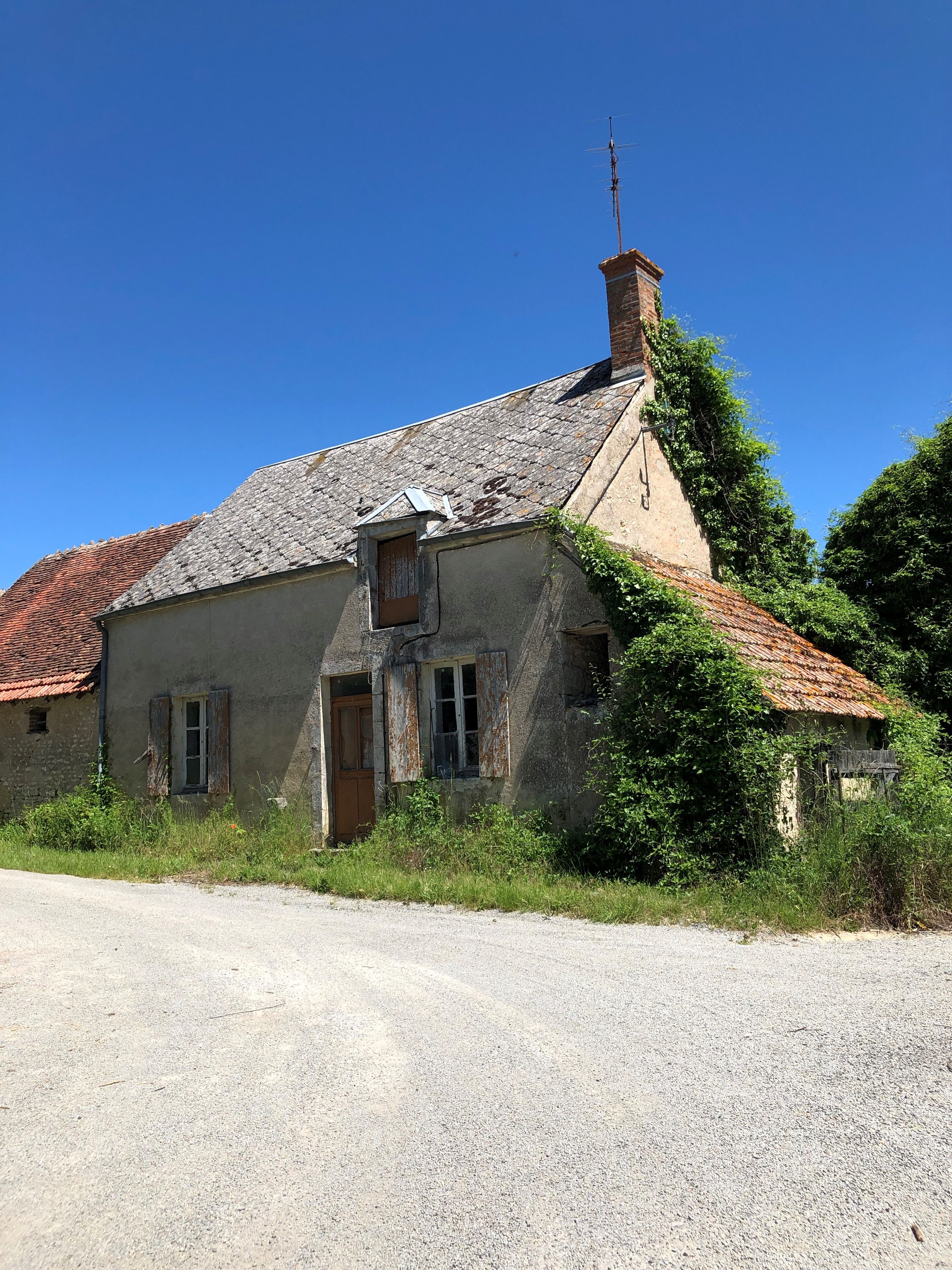 Corqueux1.jpg